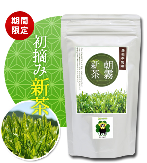 朝霧新茶 朝霧新茶
