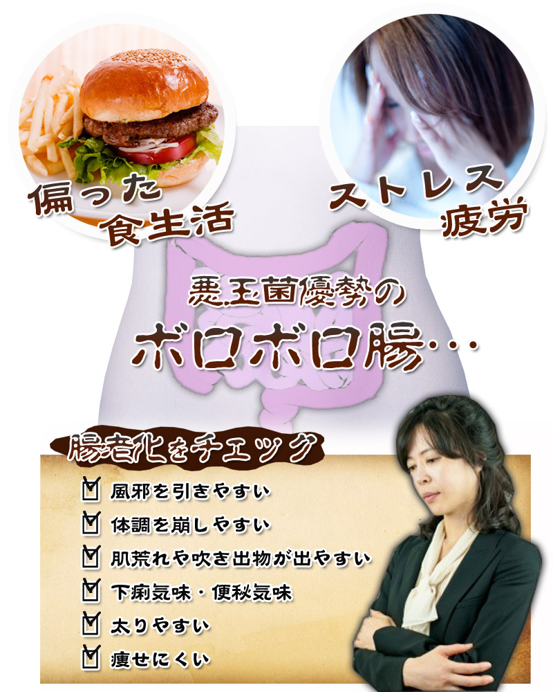 悪玉菌優勢のボロボロ腸。腸老化をチェック！風邪を引きやすい。体調を崩しやすい。肌荒れや吹き出物が出やすい。下痢気味・便秘気味。太りやすい。やせにくい。