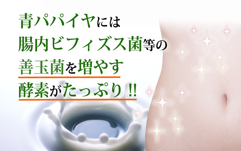 青パパイヤには腸内ビフィズス菌等の善玉菌を増やす酵素がたっぷり!!
