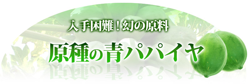 入手困難！幻の原料!!原種の青パパイヤ