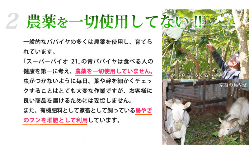 農薬を一切使用してない!!一般的なパパイヤの多くは農薬を使用し、育てられています。｢スーパーバイオ21｣の青パパイヤは食べる人の健康を第一に考え、農薬を一切使用していません。虫がつかないように毎日、葉や幹を細かくチェックすることはとても大変な作業ですが、お客様に良い商品を届けるためには妥協しません。また、有機肥料として家畜として飼っている島やぎのフンを堆肥として利用しています。