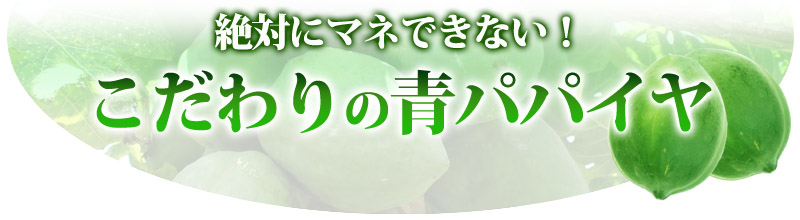 絶対にマネできない！こだわりの青パパイヤ