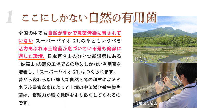 ここにしかない自然の有用菌！全国の中でも自然が豊かで農薬汚染に冒されていない｢スーパーバイオ21｣の命ともいうべき活力あふれる土壌菌が生きづいている最も発酵に適した環境、日本百名山のひとつ新潟県にある｢妙高山｣の麓の工場でこの地にしかない有用菌を培養し、｢スーパーバイオ21｣はつくられます。昔から変わらない雄大な自然と冬の積雪によるミネラル豊富な水によって土壌の中に潜む微生物や菌は、繁殖力が強く発酵をより良くしてくれるのです。
