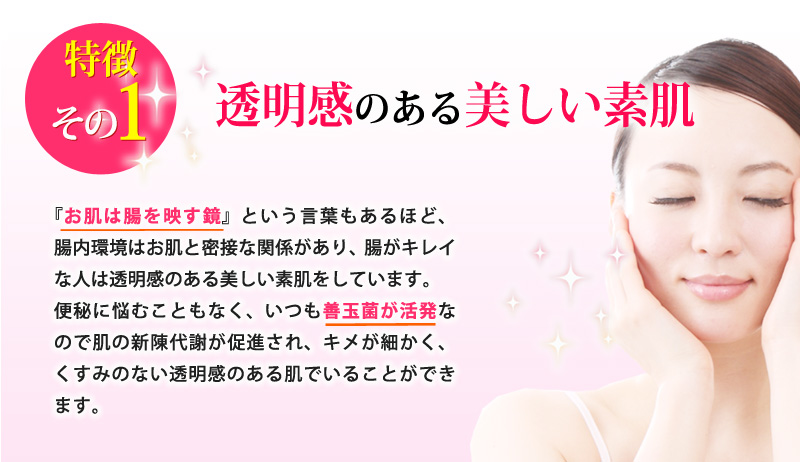 特徴その１：透明感のある美しい素肌！『お肌は腸を映す鏡』という言葉もあるほど、腸内環境はお肌と密接な関係があり、腸がキレイな人は透明感のある美しい素肌をしています。便秘に悩むこともなく、いつも善玉菌が活発なので肌の新陳代謝が促進させ、キメが細かく、くすみのない透明感のある肌でいることができます。